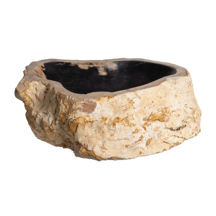 Bacha de baño de apoyo madera petrificada natural 55 cm(Kayu preta)